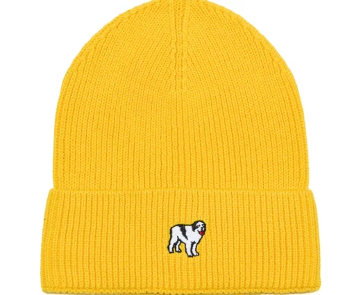Icon Beanie