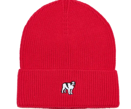 Icon Beanie