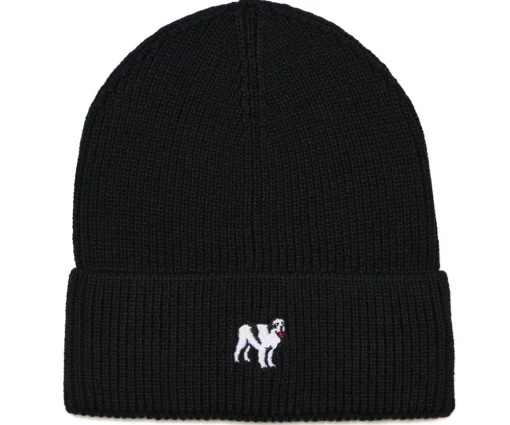 Icon Beanie